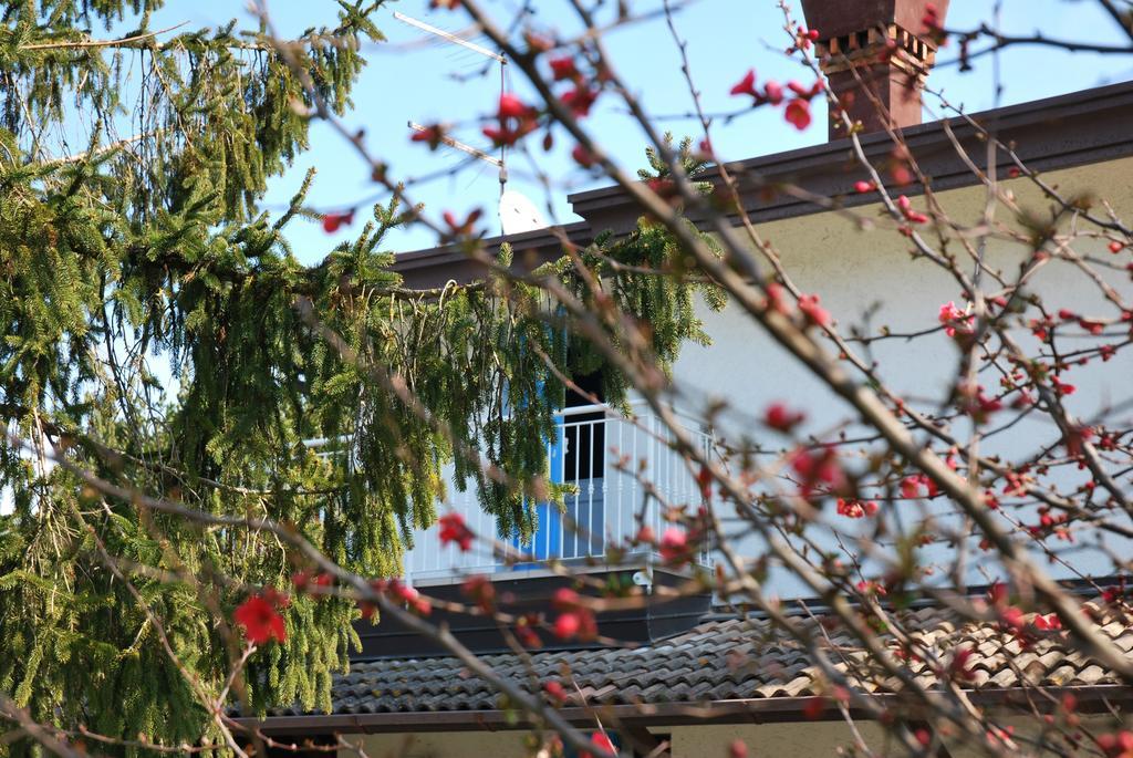 Villa Roma Holidays Ιεσόλο Εξωτερικό φωτογραφία